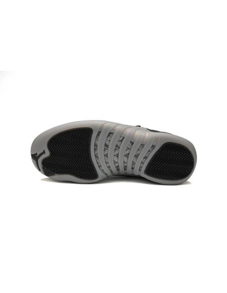 Air Jordan 12 Grey Wolf CT8013-019