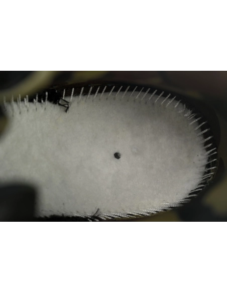 Nike Air Max 95 SP Corteiz Aegean Storm FB2709-002