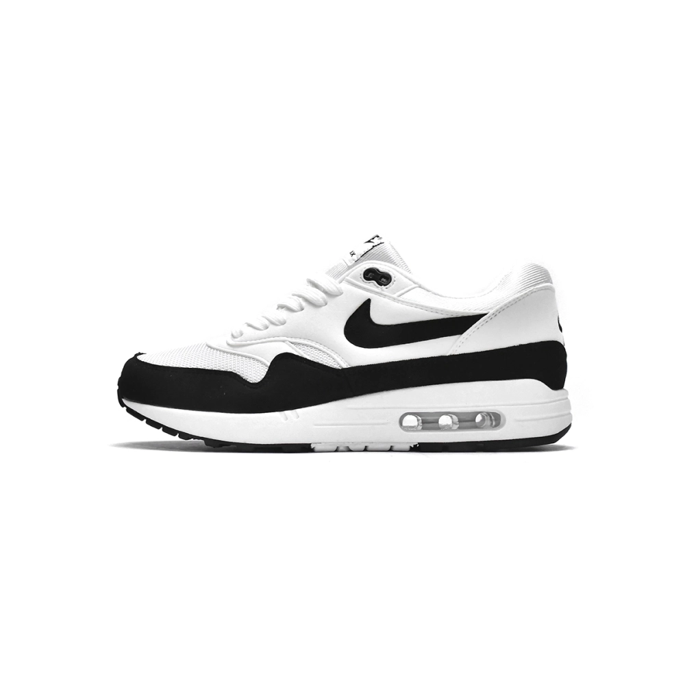 Nike Air Max 1 White Black 319986-109