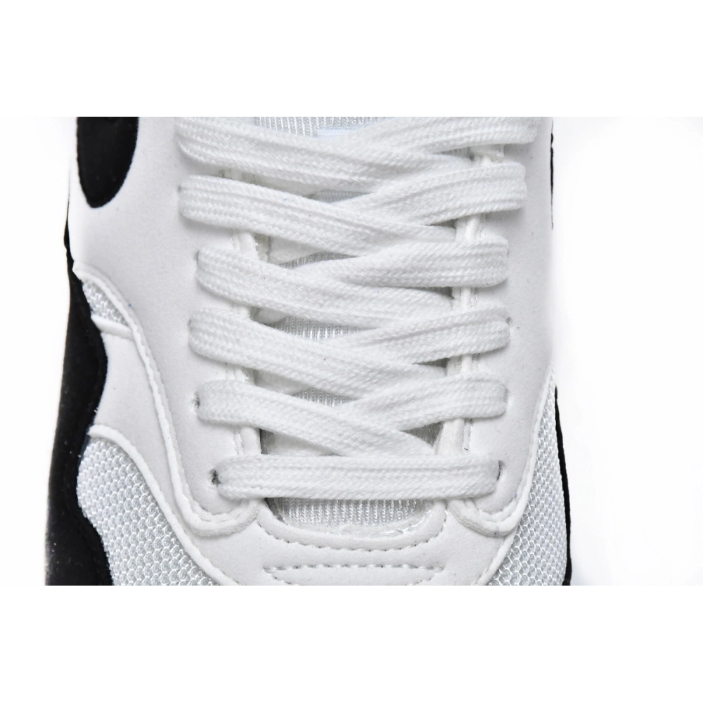 Nike Air Max 1 White Black 319986-109