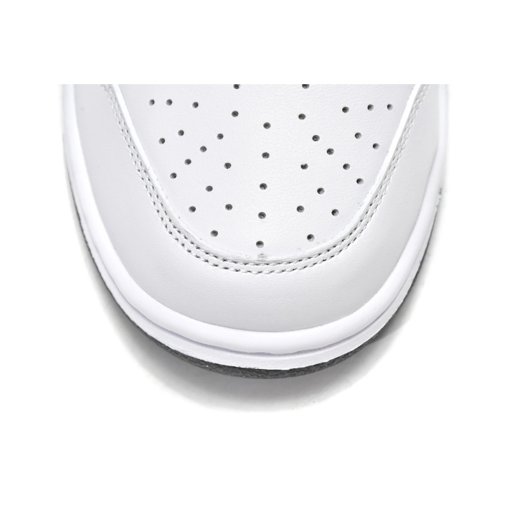 Nike Dunk Low White Black DD1503-113