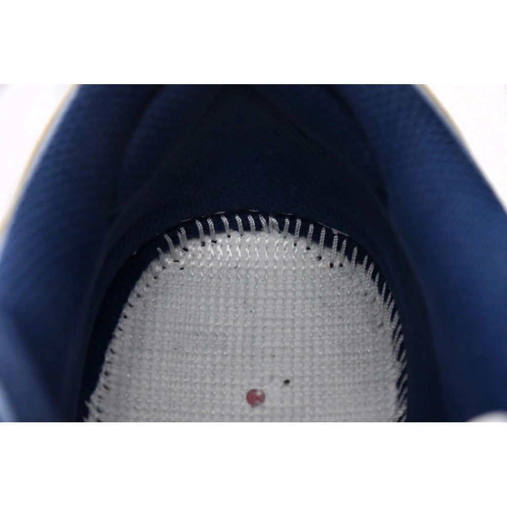 Nike SB Dunk Low Pro Why So Sad? DX5549-400