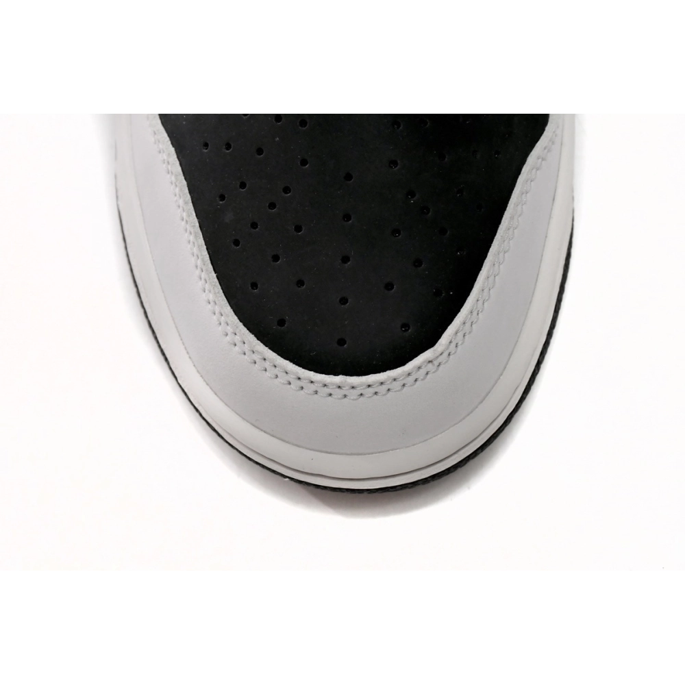 Nike Dunk Low SB AE86 AE1391-086