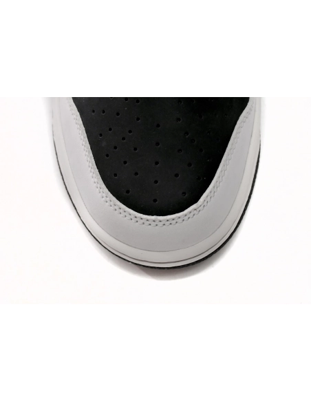 Nike Dunk Low SB AE86 AE1391-086