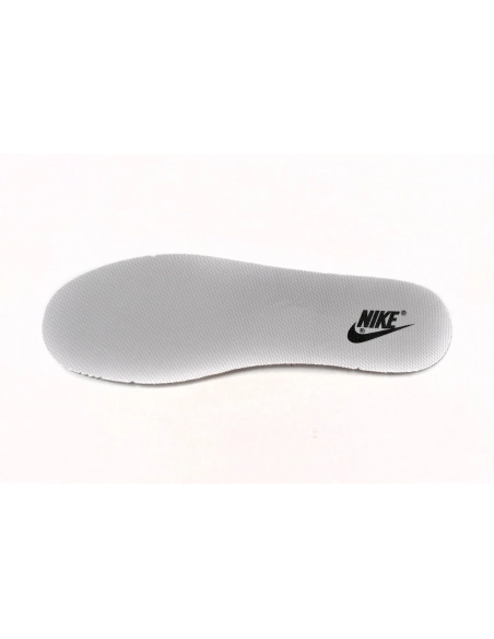 Nike Dunk Low SB AE86 AE1391-086