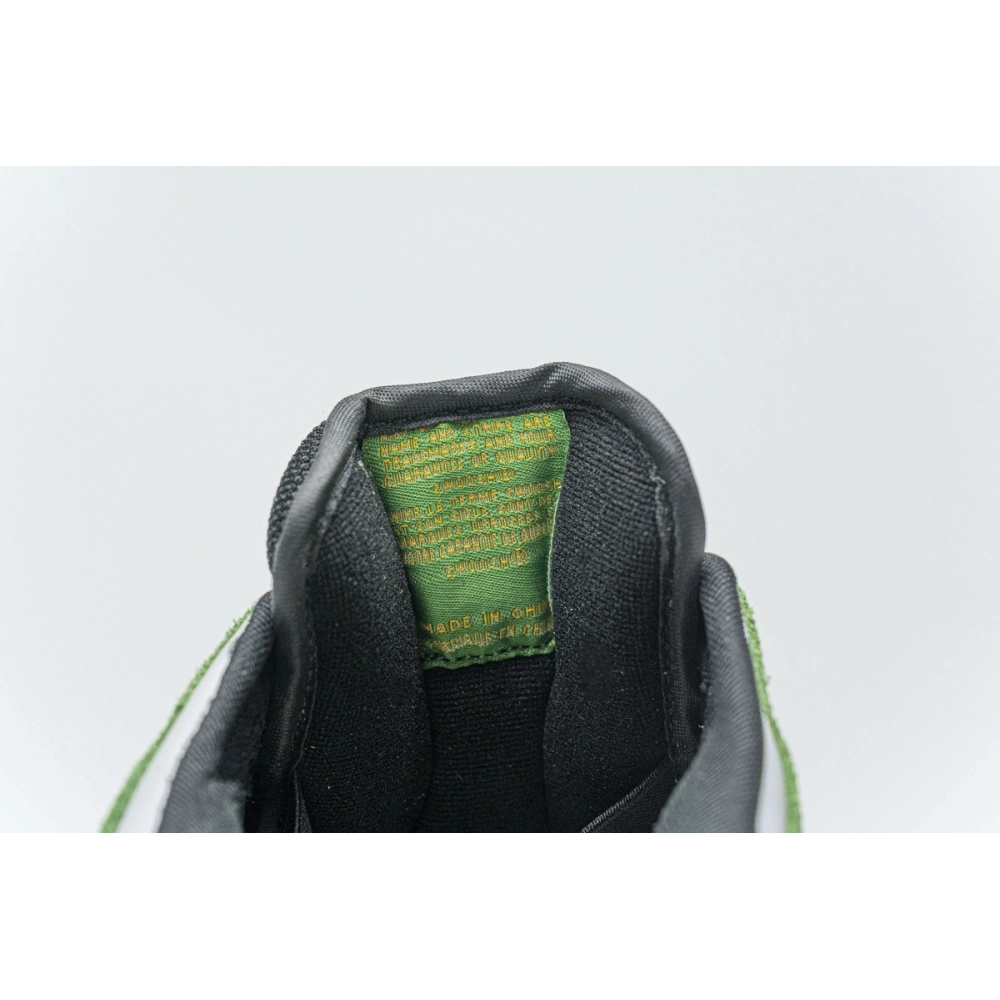 Nike Dunk SB Low Bucks 804292-132