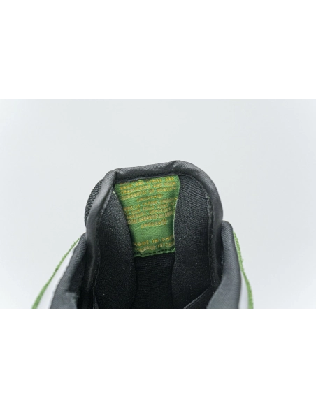 Nike Dunk SB Low Bucks 804292-132