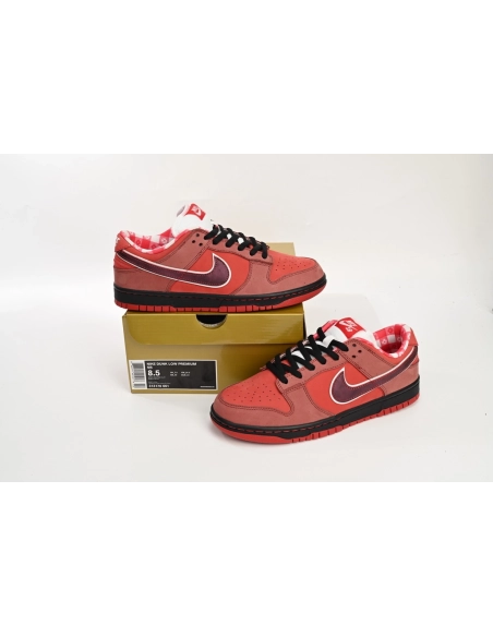 Nike SB Dunk Low Concepts Red Lobster 313170-661