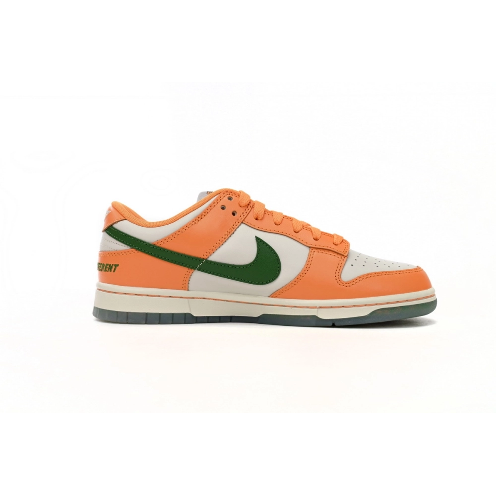 Nike SB Dunk Low Florida AM University DR6188-800