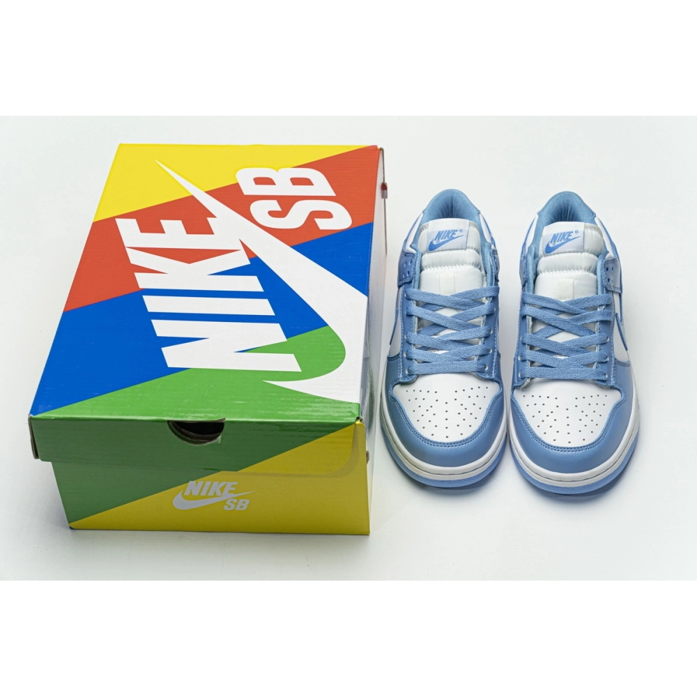 Nike Dunk Low UNC DD1391-102