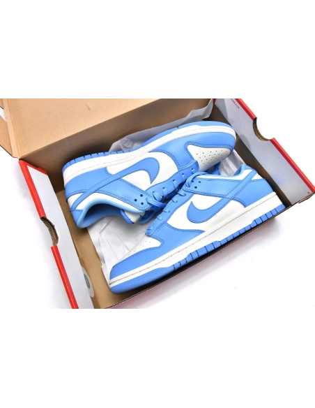 Nike Dunk Low Coast DD1503-100