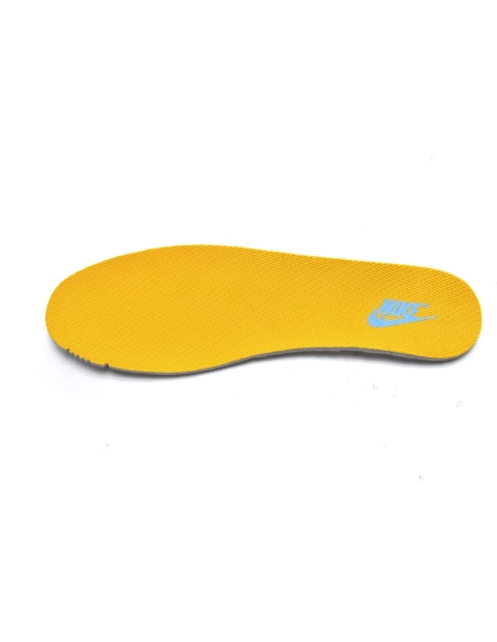 Nike Dunk Low Coast DD1503-100