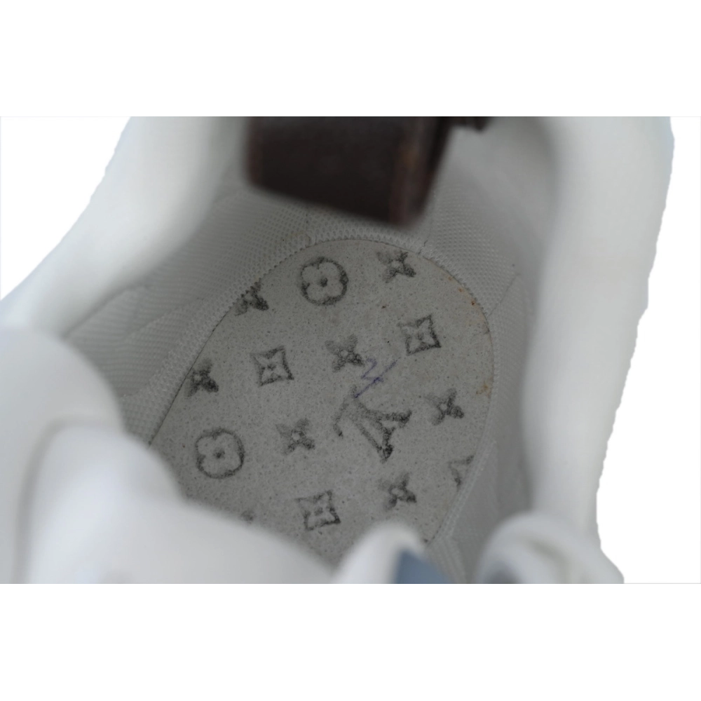 Louis Vuitton Archlight Sneakers 1AD28F