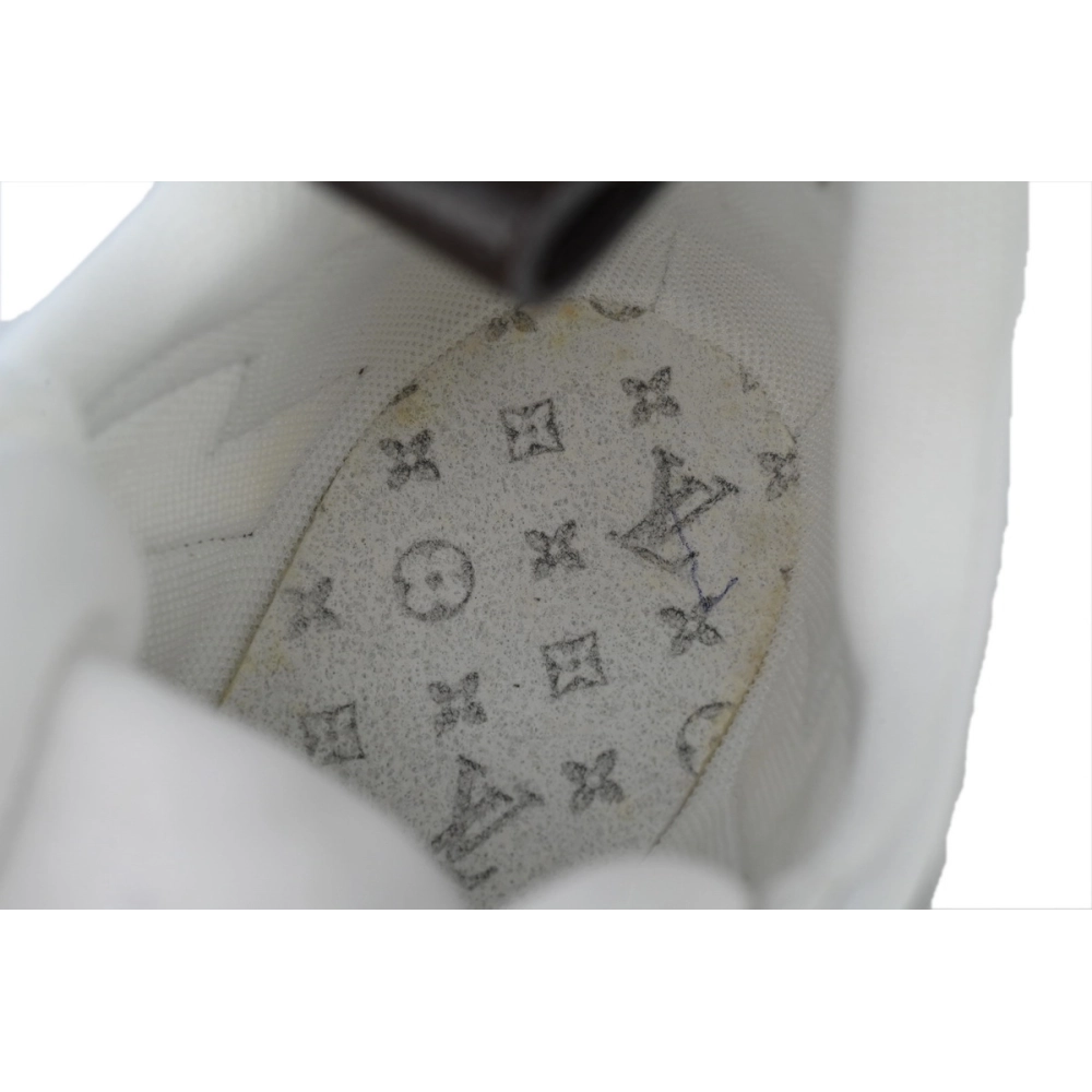 Louis Vuitton Archlight Sneakers 1A43KV