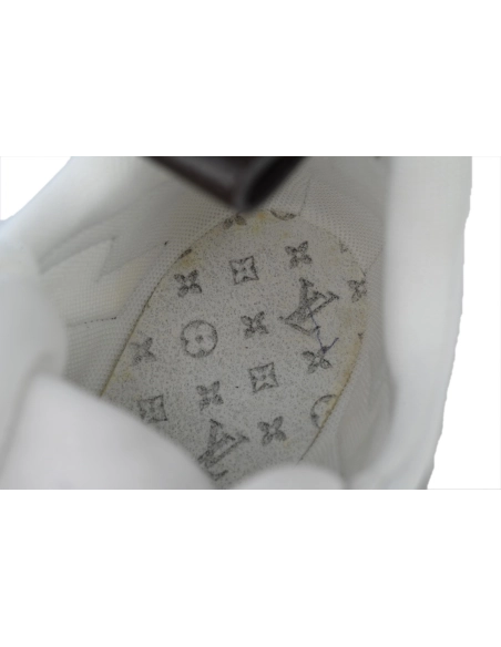 Louis Vuitton Archlight Sneakers 1A43KV