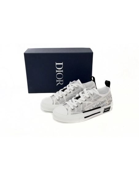 Dior B23 Low Top Daniel Asham Newspaper 3SN249YUO_H069