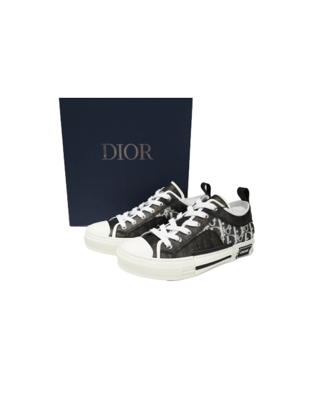 Dior B23 Low Top Canvas Oblique Black White 3SN272ZIR 16536