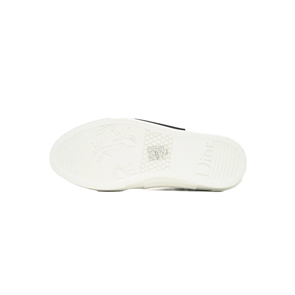 Dior B23 Low Top Canvas Oblique Black White 3SN272ZIR 16536