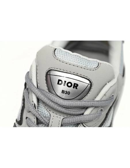 Dior B30 Gray 3SN279ZRD_H868