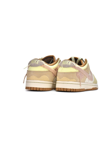 Nike Dunk Low On the Bright Side DQ5076-121