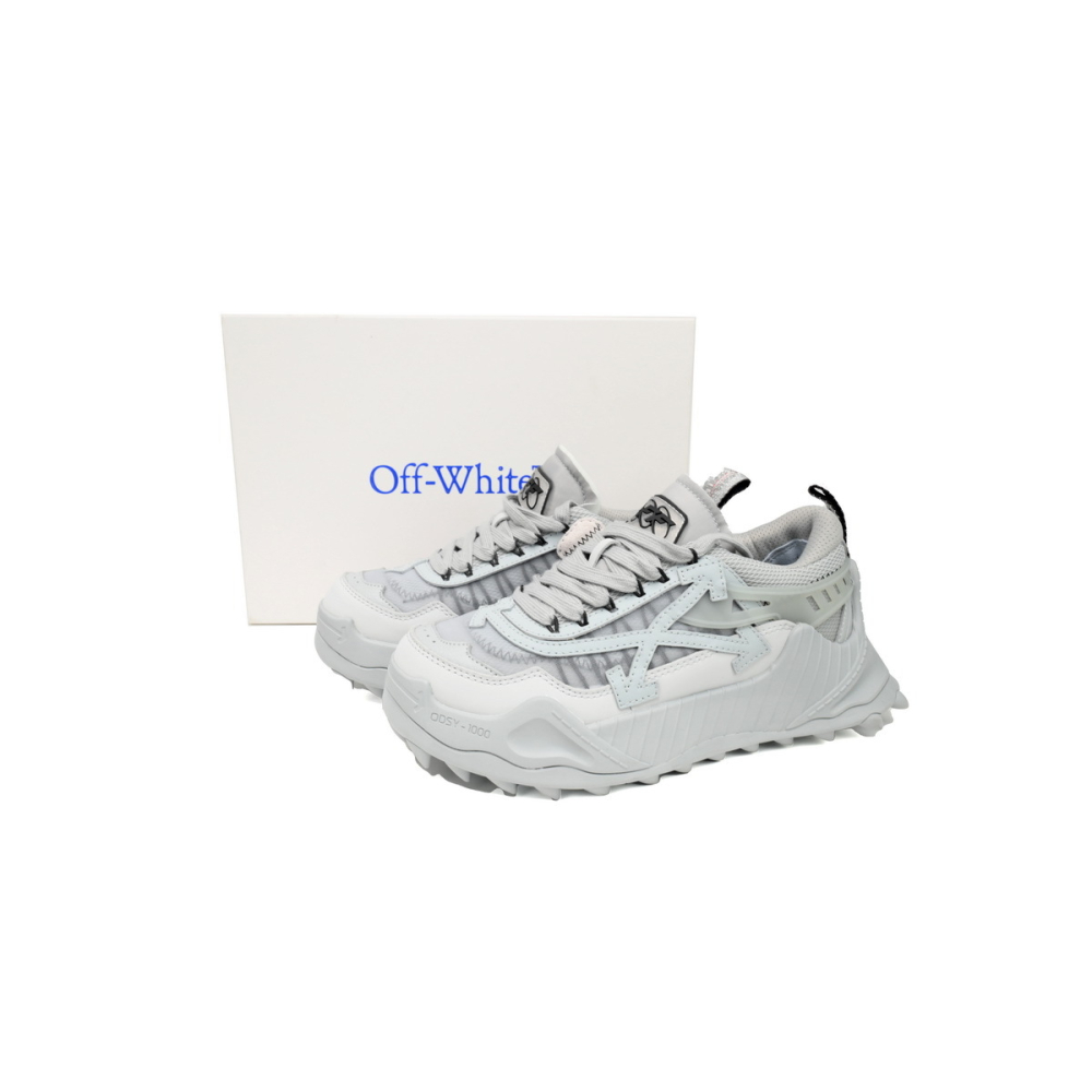 Off-White Odsy-1000 Grey OMIA139S208000410505