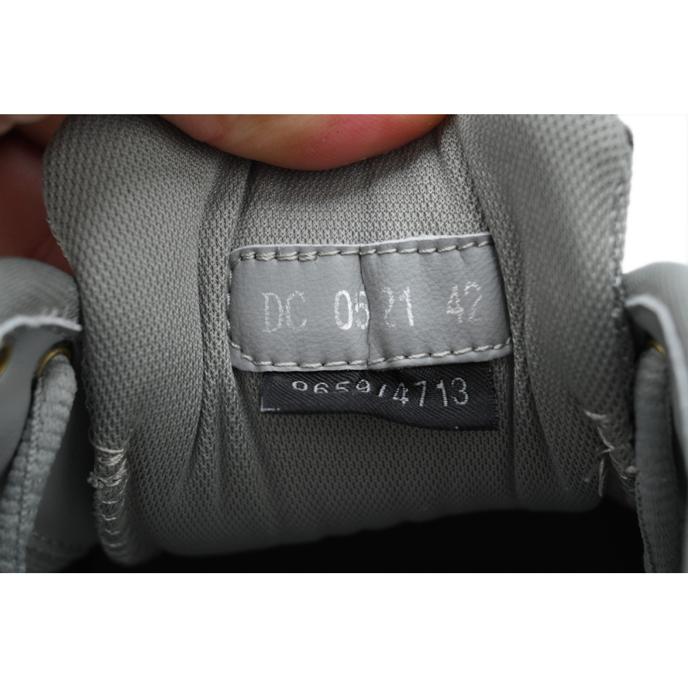 Dior B30 x Stone Island Sneaker Light Grey