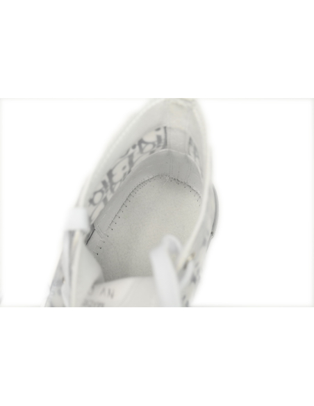 Dior B23 High Top Oblique Transparency White Blue Gray