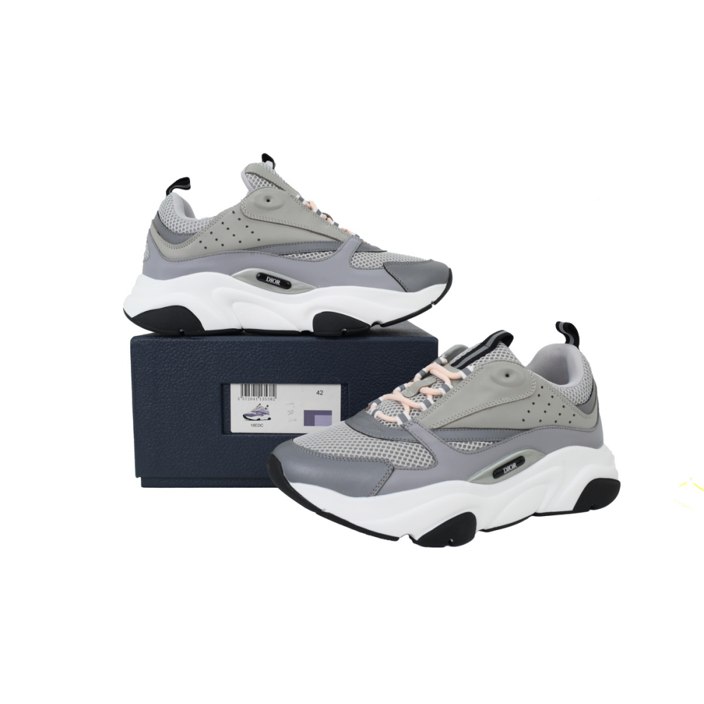 Dior B22 Gray Blue