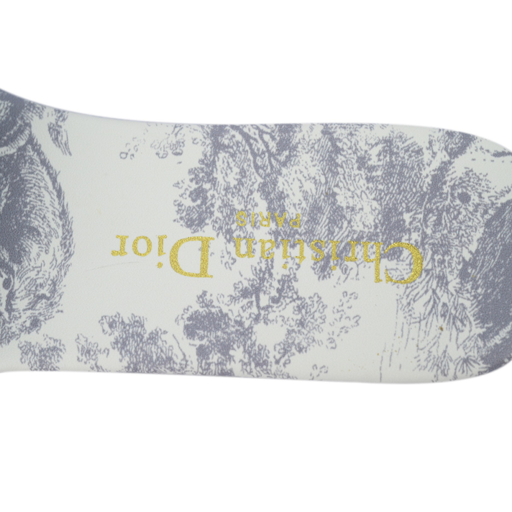 Dior Dway Slide Gray Embroidered Cloth Printed Sandals KCQ209TJE_S21G