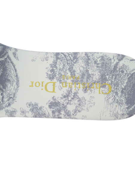 Dior Dway Slide Gray Embroidered Cloth Printed Sandals KCQ209TJE_S21G