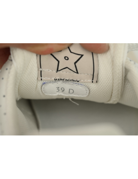 Dior D-Sketch Sneaker White Nylon And Calfskin KCK427MPA_S10W