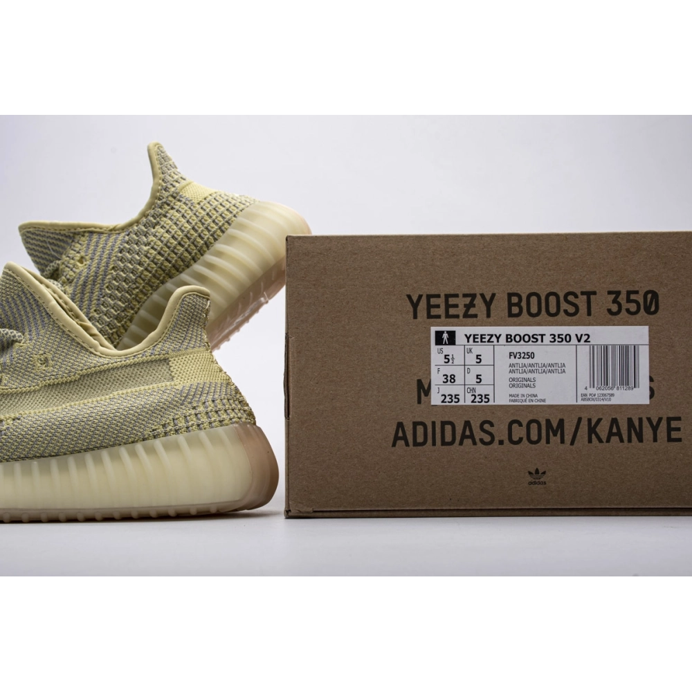 Adidas Yeezy Boost 350 V2 Antlia FV3250