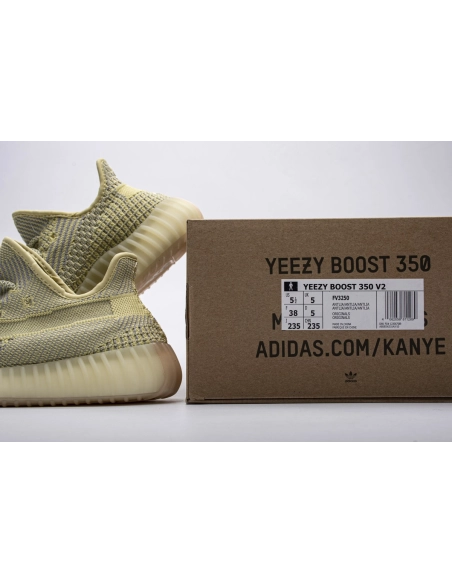 Adidas Yeezy Boost 350 V2 Antlia FV3250