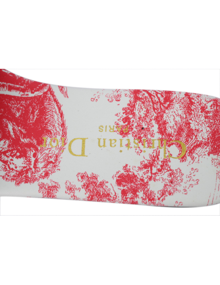 Dior Dway Slide Cloth Printed Sandals Red KCQ209DME_S79W