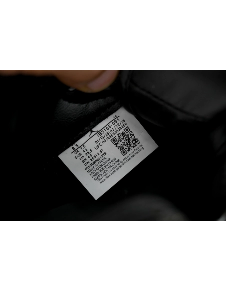 Air Jordan 1 Retro High OG Year of the Snake IB3165-091