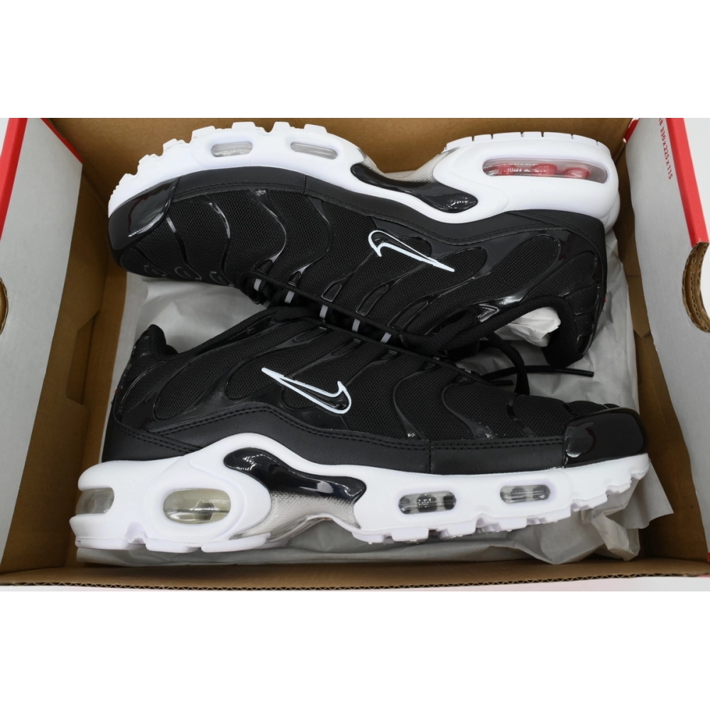 Nike Air Max Plus Black White DM2362-001
