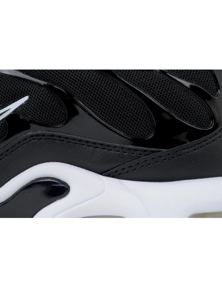 Nike Air Max Plus Black White DM2362-001