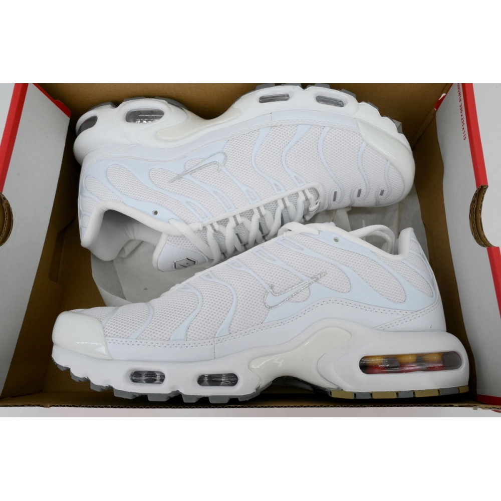 Nike Air Max Plus White 604133-139