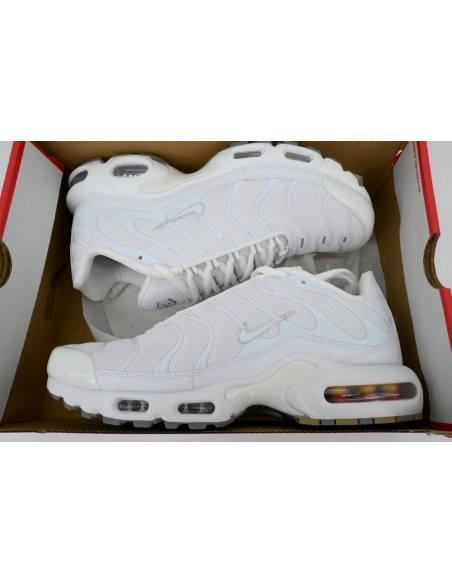 Nike Air Max Plus White 604133-139
