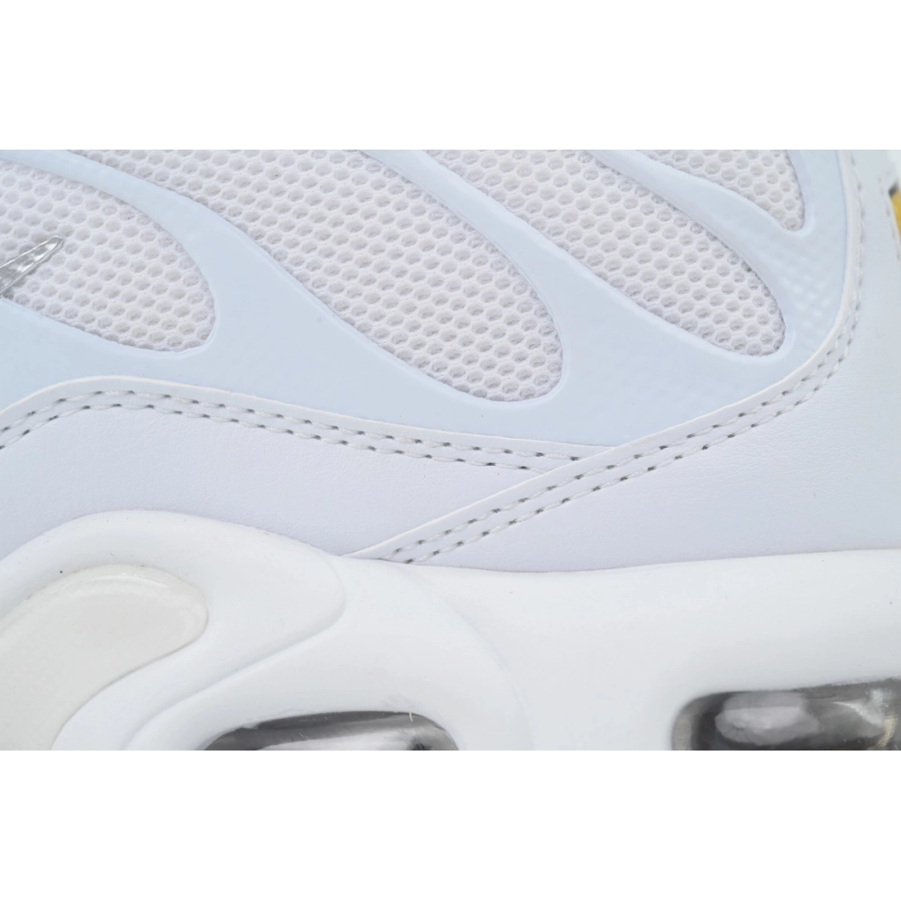 Nike Air Max Plus White 604133-139