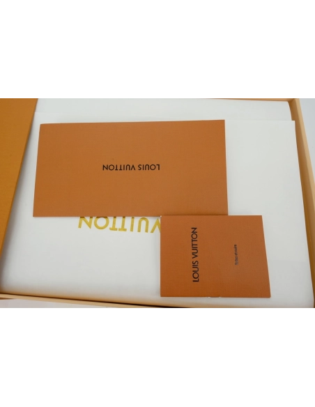 Louis Vuitton LV Skate Sneaker White Brown