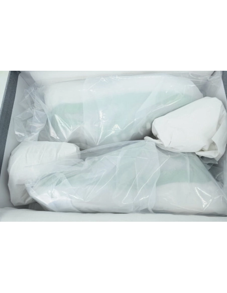 Prada Americas Cup Patent Light Green