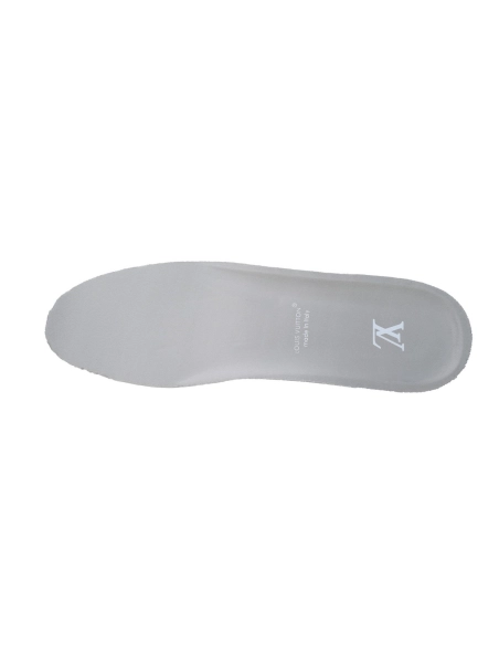 Louis Vuitton LV Skate Sneaker Grey 1ABZ5X