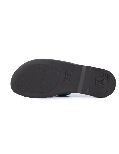 Louis Vuitton Oasis Green Glossy Surface