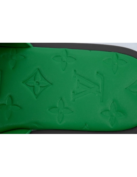 Louis Vuitton Oasis Green Glossy Surface