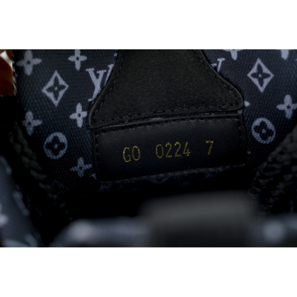 Louis Vuitton LV Skate Sneaker All Black