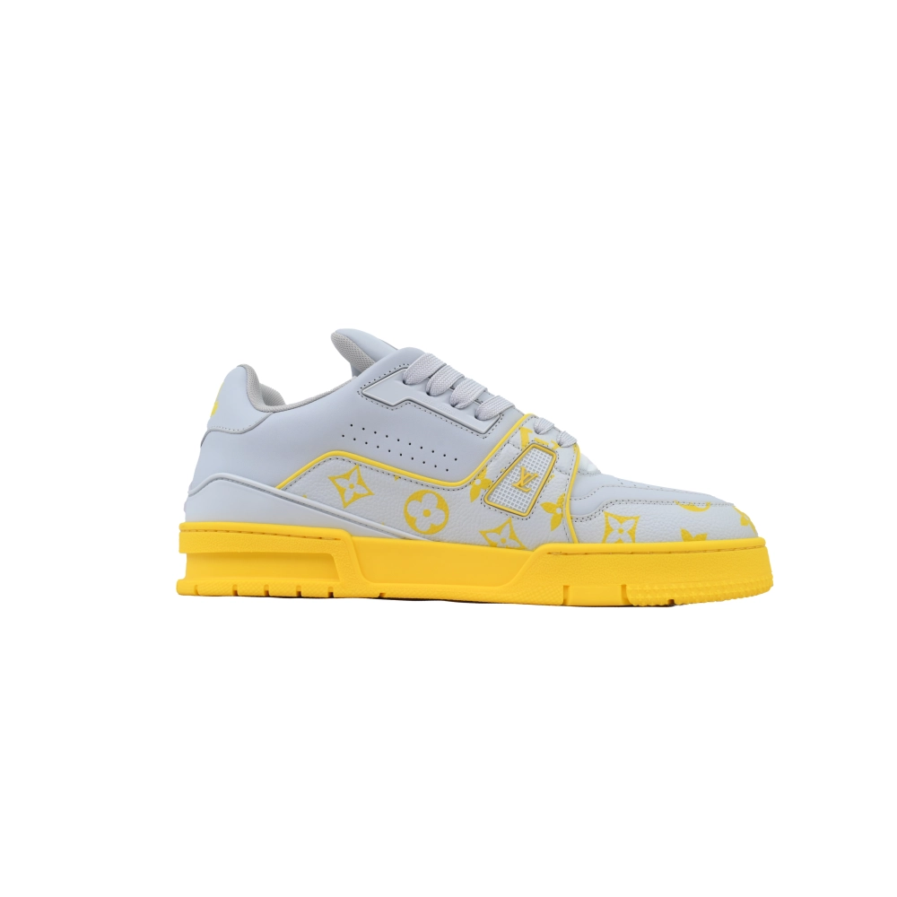 Louis Vuitton Trainer Grey Color Printing