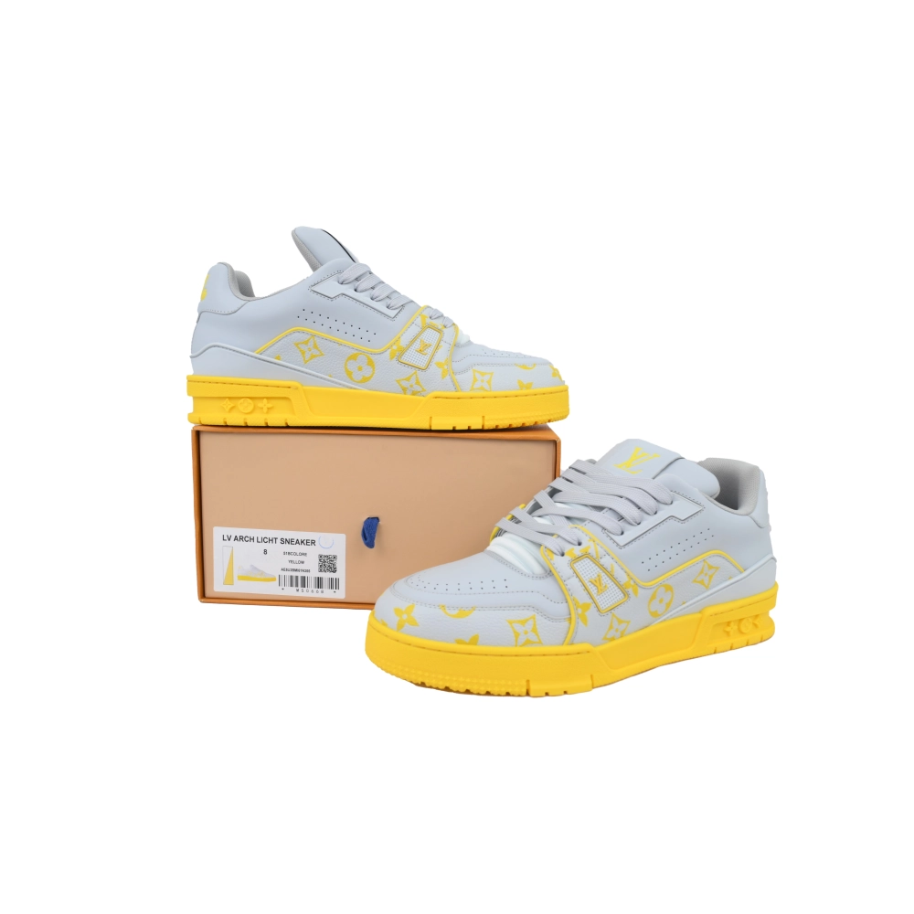 Louis Vuitton Trainer Grey Color Printing
