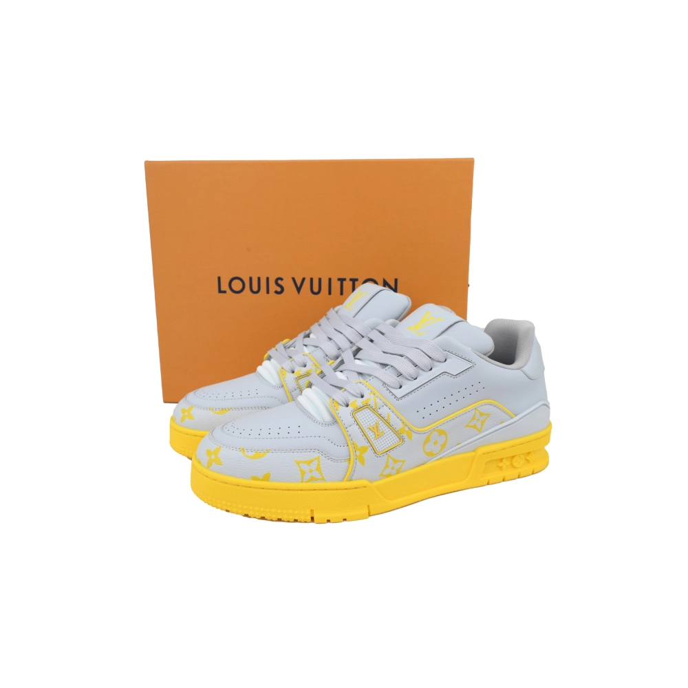 Louis Vuitton Trainer Grey Color Printing