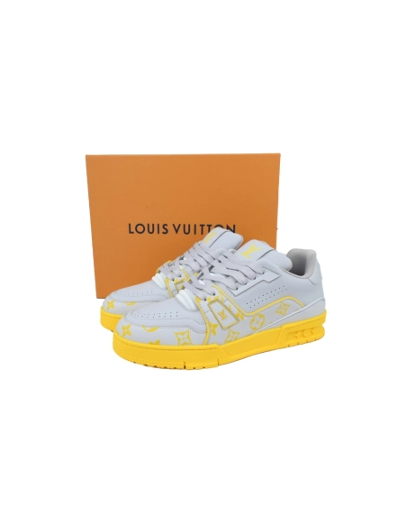 Louis Vuitton Trainer Grey Color Printing